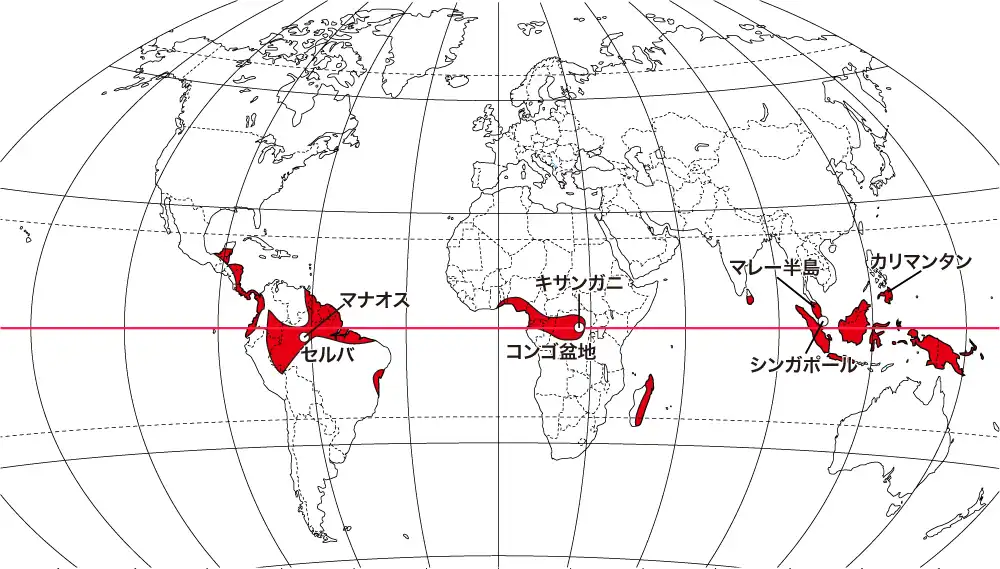 Afが該当する主な都市