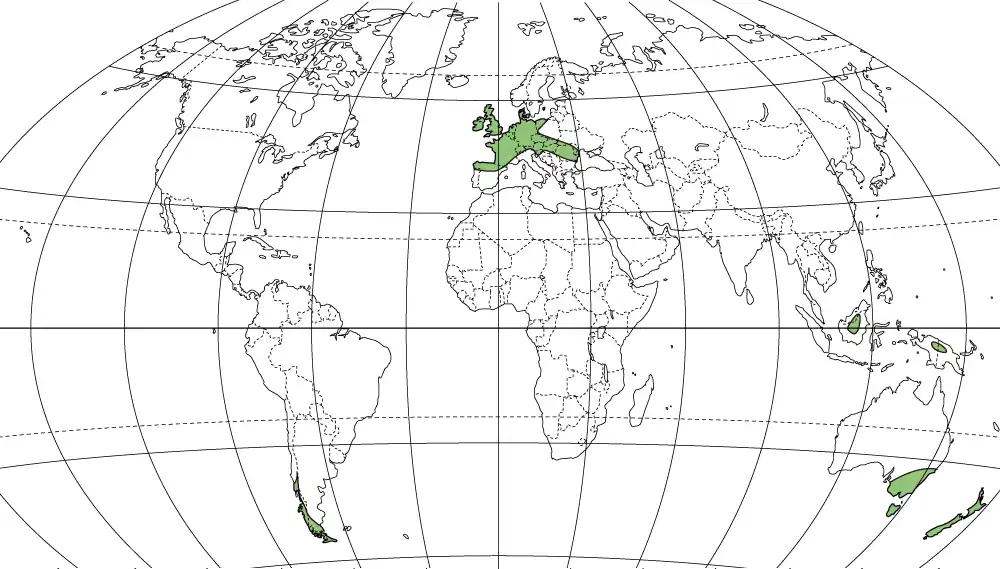 西岸海洋性気候の分布