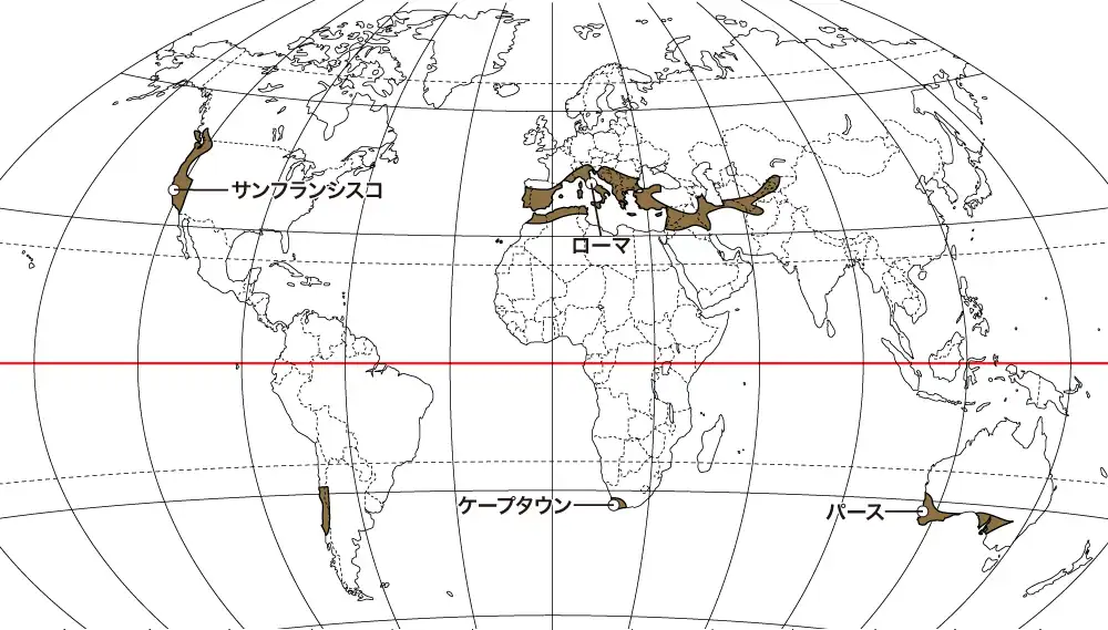 地中海性気候の主要都市