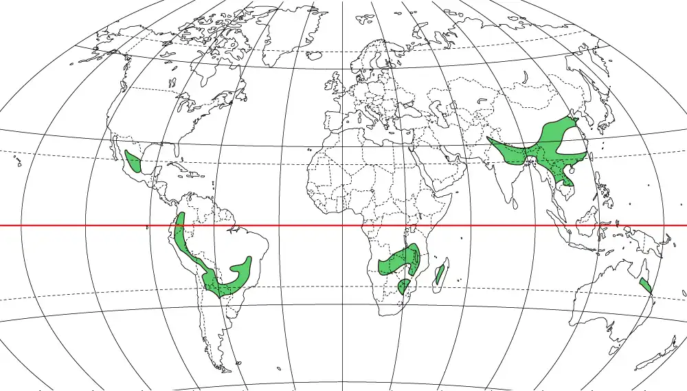 温暖冬季少雨気候の分布