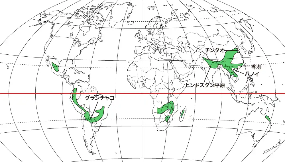 温暖冬季少雨気候の主要都市