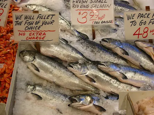 ノルウェーサーモン