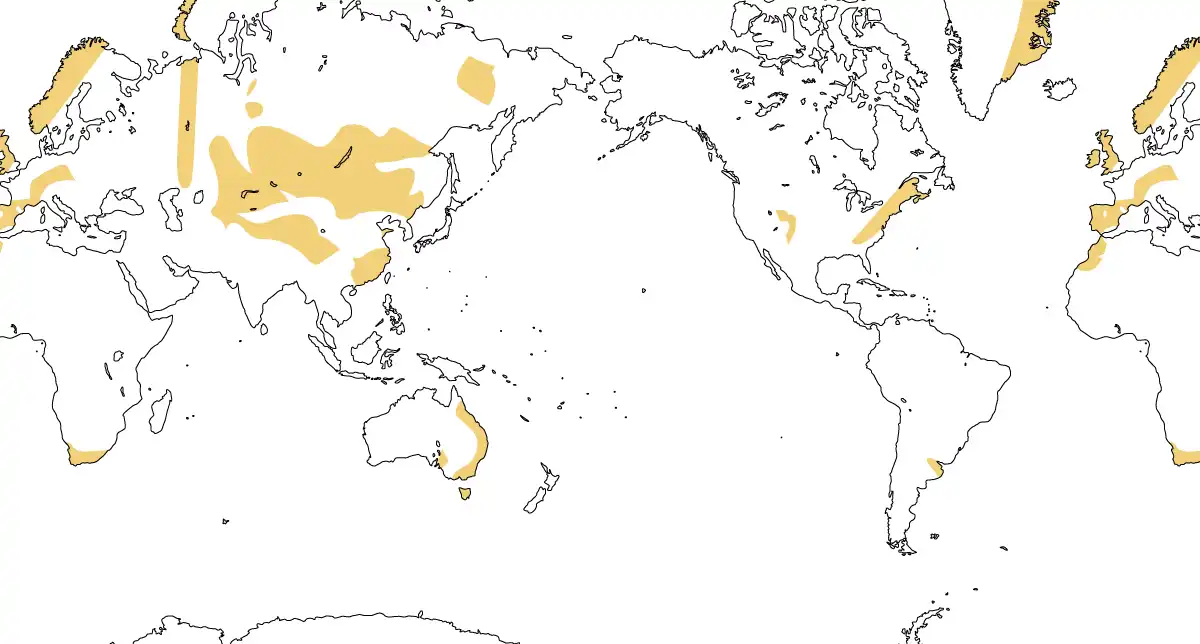 古期造山帯の分布