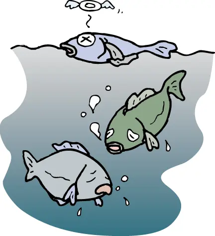 死んでいく魚