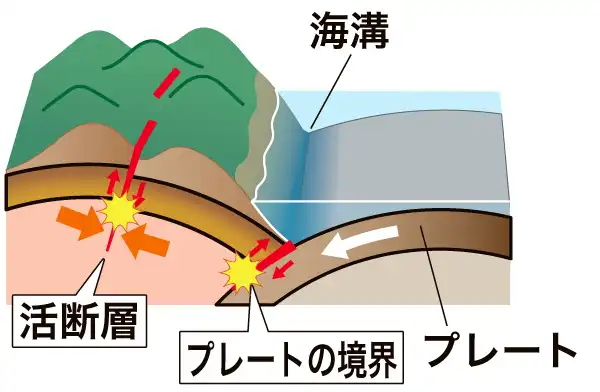 活断層型地震と海溝型地震