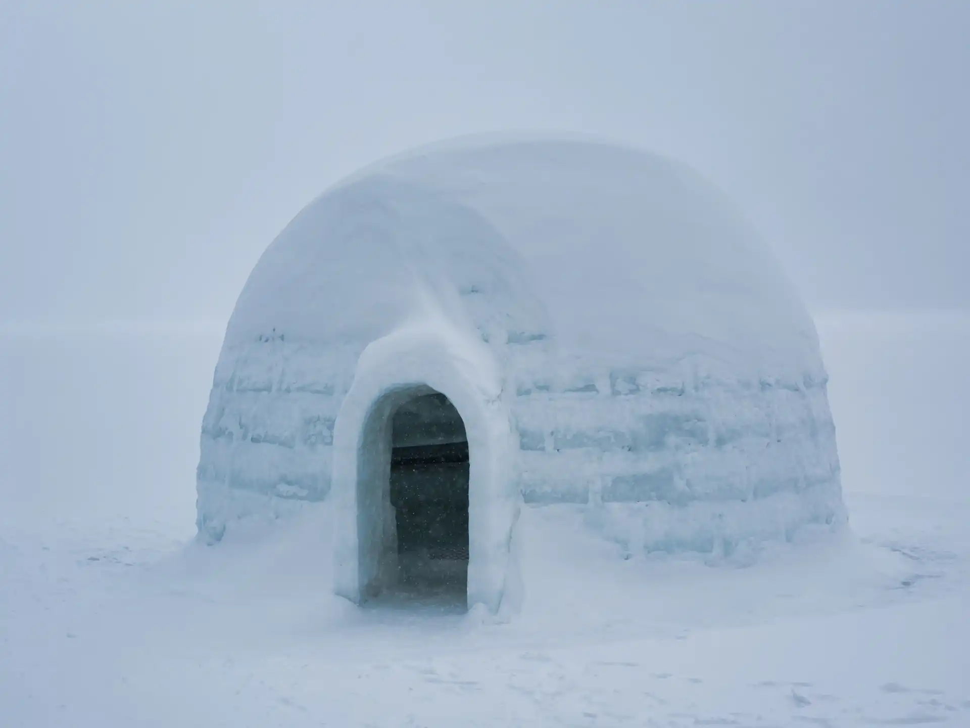 イグルー
