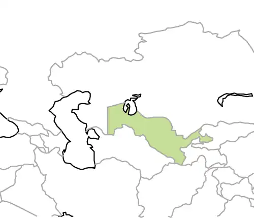 ウズベキスタン