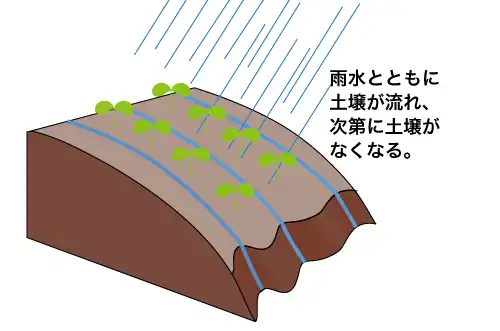 等高線耕作でない場合