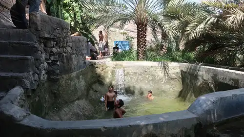 オアシスでの憩い