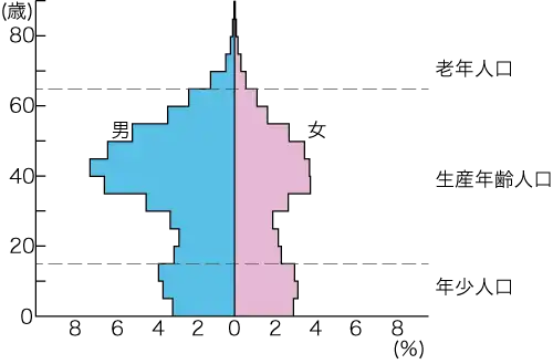 クウェートの人口ピラミッド（2019年）