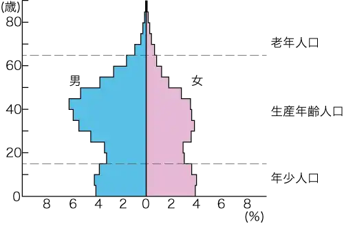 サウジアラビアの人口ピラミッド（2019年）