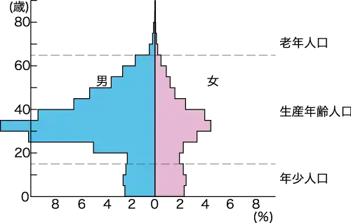 アラブ首長国連邦の人口ピラミッド（2019年）