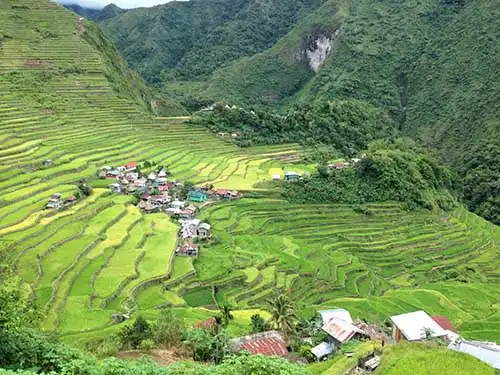 コルディリェーラの棚田群