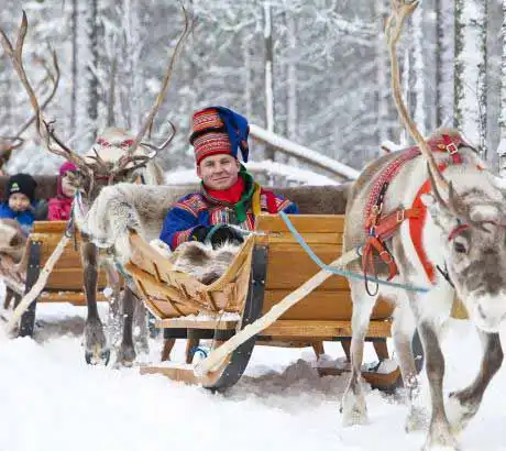 サーミとトナカイ