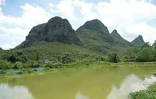 タワーカルスト