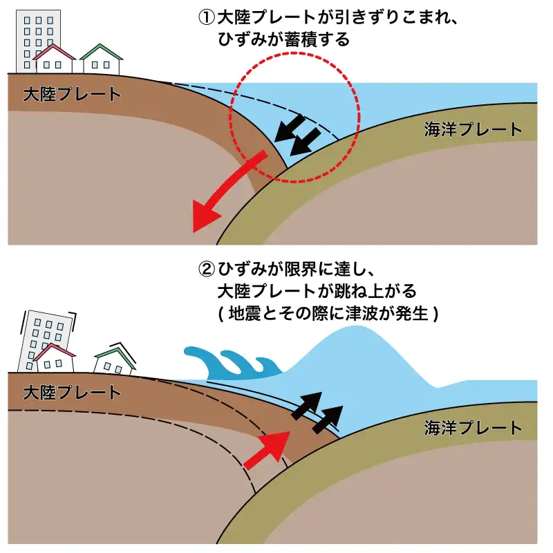 海溝型地震と津波のメカニズム