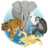 ワシントン条約