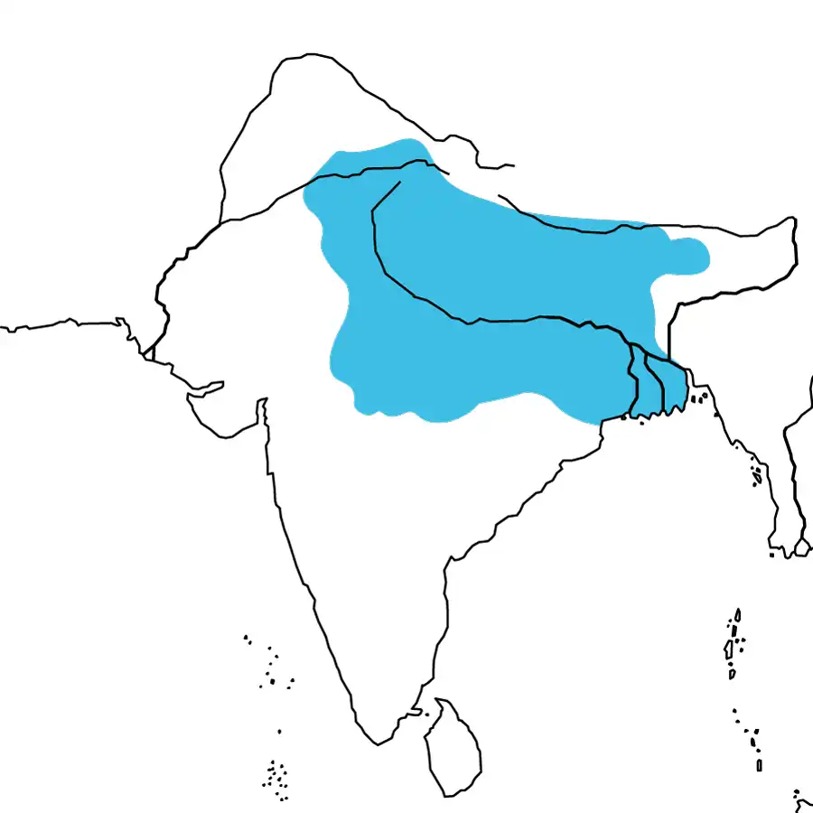 ハルシャ王時代のヴァルダナ朝