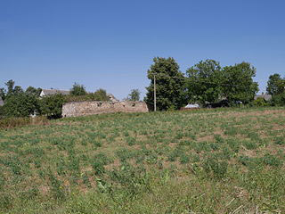ラティフンディアの農園跡